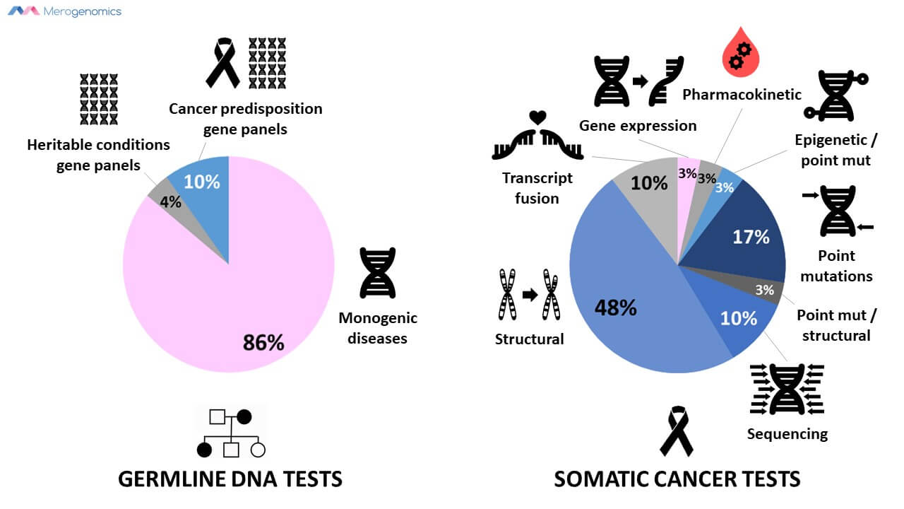 Merogenomics Blog Figure on Germline and Somatic Test Types