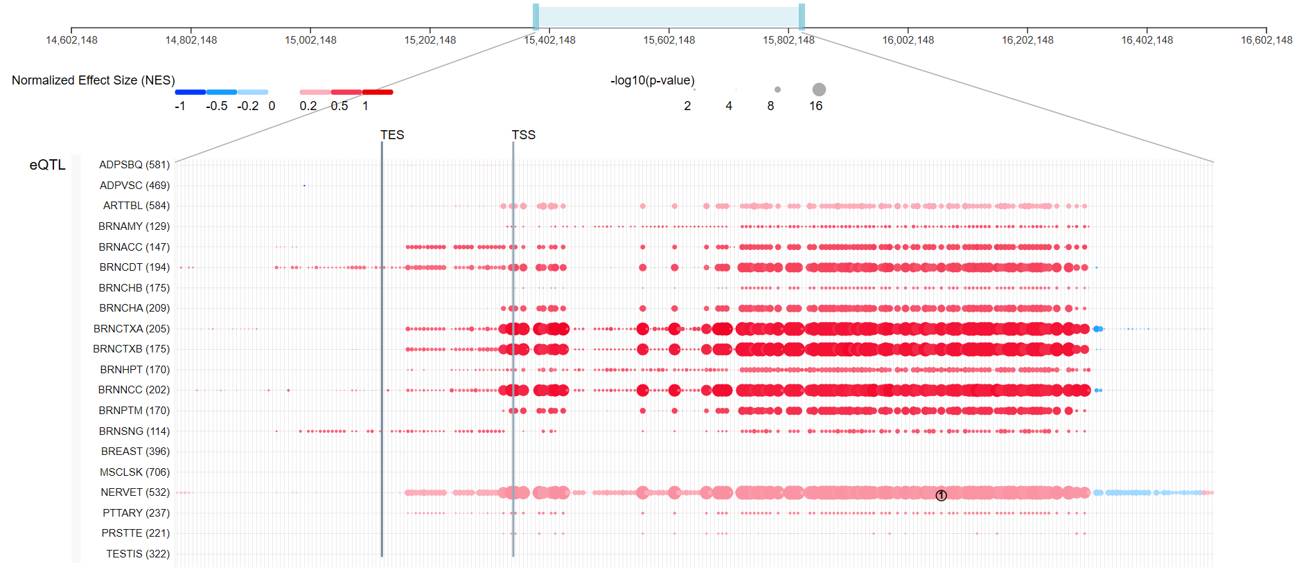 Blog Figure1 ACE2 gene map