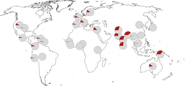 COVID-19 Neanderthal genetic predisposition geographical distribution
