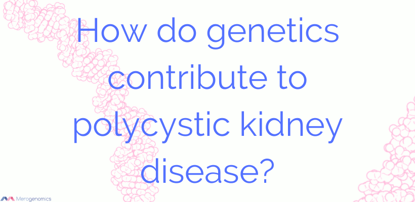 Genetic mutations that can cause Polycystic Kidney Disease