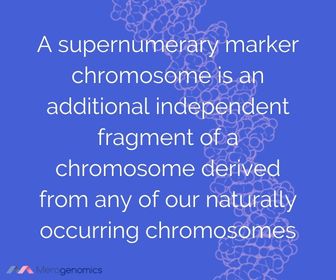 Image of Merogenomics article quote on supernumerary marker chromosome