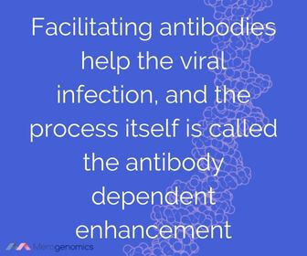 Image of Merogenomics article quote on antibody dependent enhancement