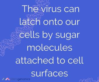 Image of Merogenomics article quote on sugar and infection