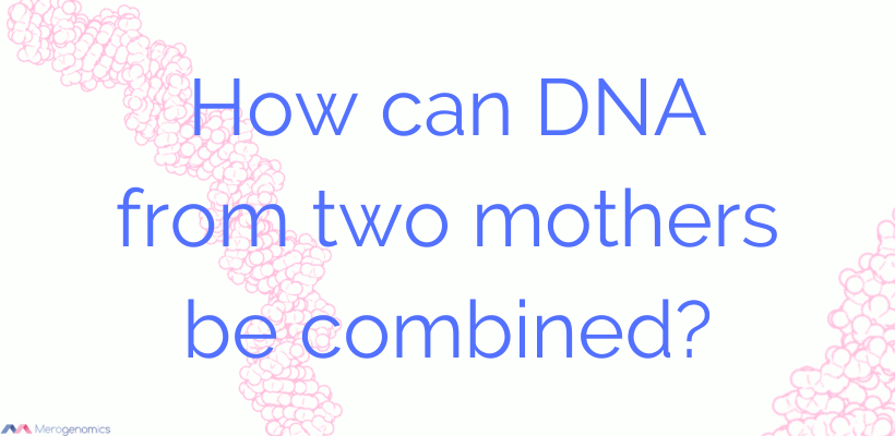 Mitochondrial donation - rescuing maternal-only DNA