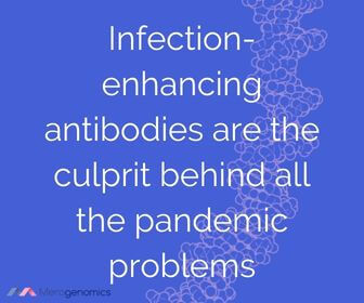 Image of Merogenomics article quote on infection-enhancing antibodies