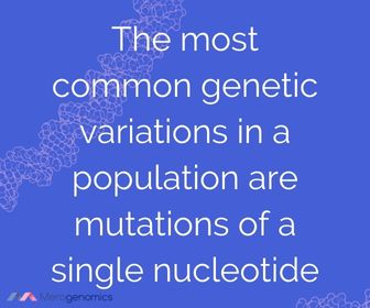 Image of Merogenomics article quote on most common genetic variation