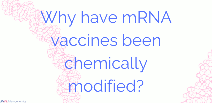 Pseudouridines of mRNA vaccines