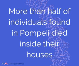 Pompeii disaster