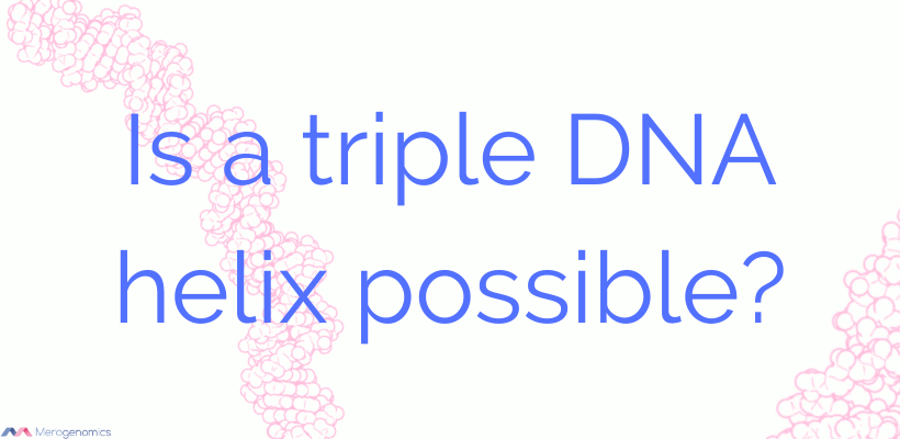 Is triple DNA helix possible? blog post thumbnail GIF